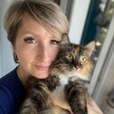 ���������� ��������, ���� ������� ���������, 45 ���, ������������ ��� ������, ����� � ���������