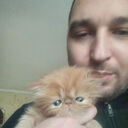 ���������� �������, ���� ������� �����, 40 ���, ������������ ��� ������, ����� � ���������