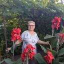  ,   , 66 ,   ,   