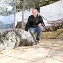 ���������� ����-���, ���� ������� �����, 35 ���, ������������ ��� ����� � ���������, c�������� ���������