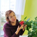 ���������� �����, ���� ������� ������, 52 ����, ������������ ��� c�������� ���������