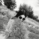 ���������� �������, ���� ������� ������, 29 ���, ������������ ��� c�������� ���������, ���������