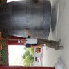  Pusan,   , 51 ,   