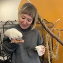 ���������� ������, ���� ������� ��������, 53 ����, ������������ ��� c�������� ���������