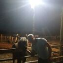 ���������� ��������, ���� ������� Aleksei, 39 ���, ������������ ��� ����� � ���������, c�������� ���������, ���������