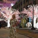 ���������� �����������, ���� ������� �������, 40 ���, ������������ ��� ������, ����� � ���������, c�������� ���������