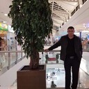 ���������� ������, ���� ������� �����, 47 ���, ������������ ��� ������, ����� � ���������