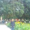  ,   ARTUR, 33 ,   ,   , c , 