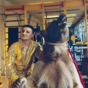 ���������� ����������, ���� ������� ������, 50 ���, ������������ ��� ����� � ���������, c�������� ���������