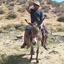 ���������� �������, ���� ������� ����������, 41 ���, ������������ ��� ����� � ���������, c�������� ���������