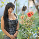 ���������� ������, ���� ������� ����, 36 ���, ������������ ��� ������, ����� � ���������, c�������� ���������