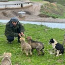 ���������� ����, ���� ������� ����, 28 ���, ������������ ��� ������, ����� � ���������