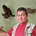  ,   , 57 ,   ,   