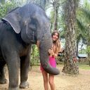 ���������� ����������, ���� ������� ������, 30 ���, ������������ ��� c�������� ���������