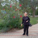  --,   , 55 ,   