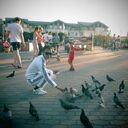 ���������� �������, ���� ������� ������, 34 ����, ������������ ��� ����� � ���������