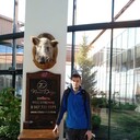 ���������� ������, ���� ������� �������, 42 ����, ������������ ��� c�������� ���������