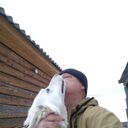   ,   , 58 ,   ,   