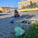 ���������� ���������, ���� ������� ������, 36 ���, ������������ ��� ������, ����� � ���������, c�������� ���������, ���������