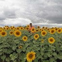 ���������� �����-���������, ���� ������� ����, 45 ���, ������������ ��� ������, ����� � ���������, c�������� ���������, ���������