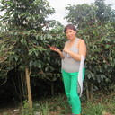  ,   , 57 ,   ,   , c 