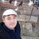 ���������� ��������, ���� ������� �������, 38 ���, ������������ ��� ������, ����� � ���������