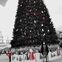 ���������� ���������, ���� ������� �������, 35 ���, ������������ ��� ������, ����� � ���������