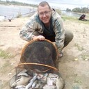 ���������� �����, ���� ������� �������, 51 ���, ������������ ��� ������, ����� � ���������, c�������� ���������