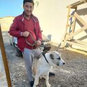 ���������� ��������, ���� ������� ���, 37 ���, ������������ ��� ������, ����� � ���������