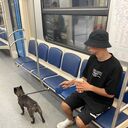 ���������� ������, ���� ������� Han, 30 ���, ������������ ��� ������, ����� � ���������