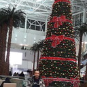 ���������� ����������, ���� ������� ������, 35 ���, ������������ ��� ������, ����� � ���������