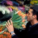 ���������� ������, ���� ������� Saken, 44 ����, ������������ ��� ������