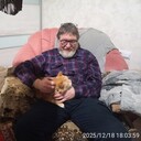 ���������� ��������, ���� ������� Nufnufnu, 55 ���, ������������ ��� ������, ����� � ���������, c�������� ���������