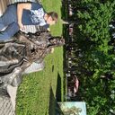 ���������� ����, ���� ������� ������, 42 ����, ������������ ��� ������, ����� � ���������