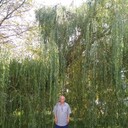  ,   , 64 ,   c 
