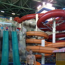 ���������� ����, ���� ������� ������, 41 ���, ������������ ��� ������, ����� � ���������, c�������� ���������