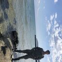 ���������� �����������, ���� ������� ����, 28 ���, ������������ ��� ������, ���������