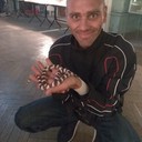 ���������� ������, ���� ������� ����, 45 ���, ������������ ��� ������, ����� � ���������, c�������� ���������