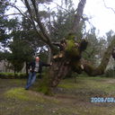 ���������� ����, ���� ������� Cop710, 55 ���, ������������ ��� ������