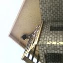 ���������� ���������, ���� ������� ����, 38 ���, ������������ ��� ������, ����� � ���������, c�������� ���������