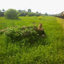 ���������� ��������, ���� ������� ���, 65 ���, ������������ ��� ������, ����� � ���������, c�������� ���������