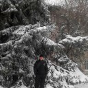 ���������� ���������, ���� ������� ��������, 41 ���, ������������ ��� ����� � ���������, c�������� ���������