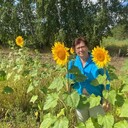 ���������� �����������, ���� ������� �����, 68 ���, ������������ ��� ����� � ���������, c�������� ���������, ���������