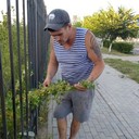 ���������� ������, ���� ������� �����, 44 ����, ������������ ��� ������, ����� � ���������, c�������� ���������