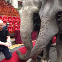 ���������� ������, ���� ������� ��������, 55 ���, ������������ ��� ������, ����� � ���������, c�������� ���������, ���������