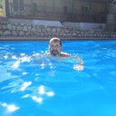  ,   , 65 ,     , c , 