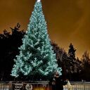 ���������� ������, ���� ������� ������, 30 ���, ������������ ��� ������, ����� � ���������, c�������� ���������