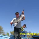 ���������� ������, ���� ������� Dauren, 50 ���, ������������ ��� ������, ����� � ���������, c�������� ���������