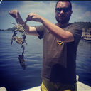 ���������� ������, ���� ������� ������, 35 ���, ������������ ��� ������, ����� � ���������