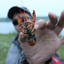 ���������� �������, ���� ������� �������, 44 ����, ������������ ��� ������, ����� � ���������